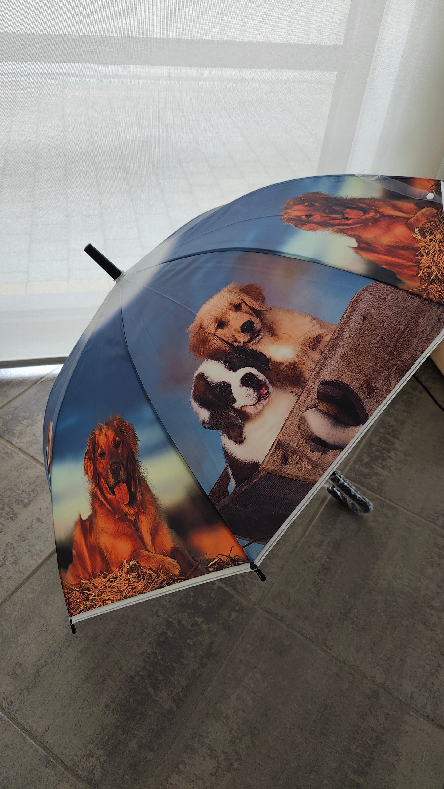 Transparante Paraplu Hond en Kat LET OP BREEKBARE VERZENDING!!!!